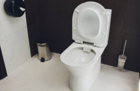 Everything You Should Know about Water Saving & Low Flush Toilets